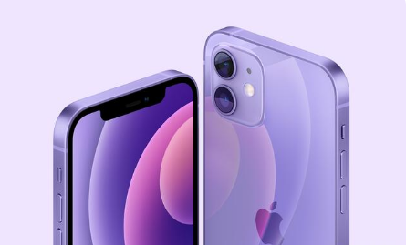 梅县苹果手机维修分享紫色版iPhone 12有什么技术亮点 